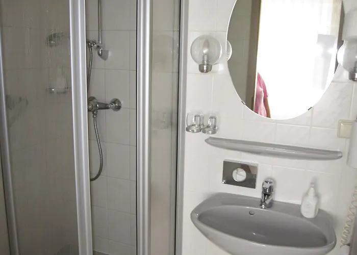 ホテル Maifelder Hof 3*